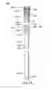 Fig. 02 - Devices and methods for gastrointestinal bypass