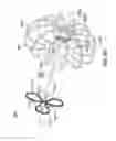 Fig. 17 - Devices and methods for gastrointestinal bypass