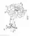 Fig. 18 - Devices and methods for gastrointestinal bypass