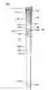 Fig. 01 - Devices and methods for gastrointestinal bypass