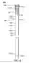 Fig. 04 - Devices and methods for gastrointestinal bypass
