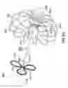 Fig. 17 - Devices and methods for gastrointestinal bypass