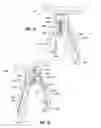 Fig. 09 - Eyewear system for securing lens on a user's nose and dilating user's nose