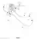 Fig. 05 - Endocavity temperature control device