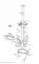 Fig. 03 - Pre-loaded injector for use with intraocular lens