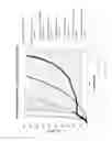 Fig. 14 - Absorbent article with cushion layer defining air pockets