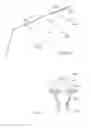 Fig. 29 - Patient support usable with bariatric patients