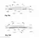 Fig. 14 - Device, system and method for compression treatment of a body part