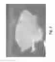 Fig. 04 - Stable silk protein fragment compositions