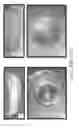 Fig. 49 - Stable silk protein fragment compositions