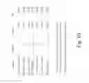 Fig. 65 - Stable silk protein fragment compositions