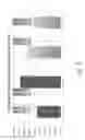 Fig. 72 - Stable silk protein fragment compositions