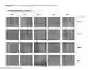 Fig. 06 - Light-absorbing compositions and methods of use