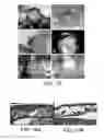 Fig. 09 - Methods of delivering pharmaceutical agents