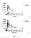 Fig. 03 - Pharmaceutical Composition for Oral Insulin Administration Comprising a Tablet Core and an Anionic Copolymer Coating