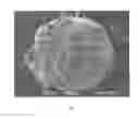 Fig. 02 - Delivery system for active agents