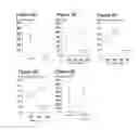 Fig. 03 - ANTICONVULSIVE PHARMACEUTICAL COMPOSITIONS
