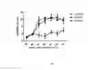 Fig. 02 - Composition for treating immune diseases containing daurinol compound as active ingredient