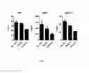 Fig. 03 - Composition for treating immune diseases containing daurinol compound as active ingredient