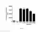 Fig. 11 - Composition for treating immune diseases containing daurinol compound as active ingredient