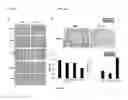 Fig. 15 - Composition for treating immune diseases containing daurinol compound as active ingredient