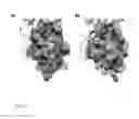 Fig. 10 - Small molecules to enhance P53 activity