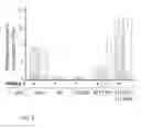 Fig. 11 - Small molecules to enhance P53 activity
