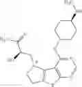 Fig. 202 - IRAK INHIBITORS AND USES THEREOF