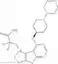 Fig. 204 - IRAK INHIBITORS AND USES THEREOF