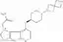 Fig. 214 - IRAK INHIBITORS AND USES THEREOF