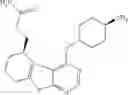 Fig. 216 - IRAK INHIBITORS AND USES THEREOF