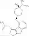 Fig. 217 - IRAK INHIBITORS AND USES THEREOF