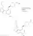 Fig. 401 - IRAK INHIBITORS AND USES THEREOF
