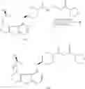 Fig. 406 - IRAK INHIBITORS AND USES THEREOF