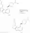 Fig. 419 - IRAK INHIBITORS AND USES THEREOF