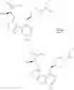 Fig. 498 - IRAK INHIBITORS AND USES THEREOF
