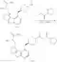 Fig. 509 - IRAK INHIBITORS AND USES THEREOF