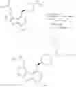 Fig. 519 - IRAK INHIBITORS AND USES THEREOF