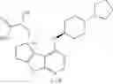 Fig. 624 - IRAK INHIBITORS AND USES THEREOF
