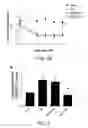 Fig. 05 - METHOD FOR TREATING PAIN WITH A CALMODULIN INHIBITOR