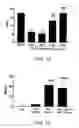 Fig. 13 - METHOD FOR TREATING PAIN WITH A CALMODULIN INHIBITOR