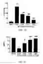Fig. 14 - METHOD FOR TREATING PAIN WITH A CALMODULIN INHIBITOR