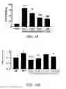 Fig. 15 - METHOD FOR TREATING PAIN WITH A CALMODULIN INHIBITOR