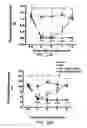 Fig. 19 - METHOD FOR TREATING PAIN WITH A CALMODULIN INHIBITOR