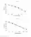 Fig. 12 - Compositions and methods for inhibiting norovirus infection