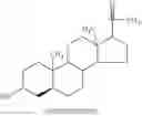 Fig. 24 - Compositions and methods for inhibiting norovirus infection