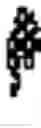 Fig. 02 - Methods for treating edema in the eye and intraocular implants for use therefor