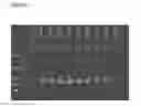 Fig. 02 - Method of increasing the bioavailability of an HIV drug