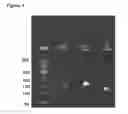 Fig. 05 - Method of increasing the bioavailability of an HIV drug