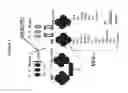 Fig. 02 - Cancer therapy via a combination of epigenetic modulation and immune modulation